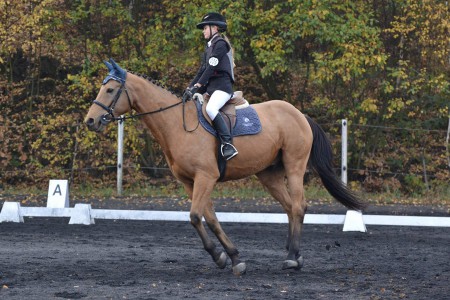 21. 10. 2018 Eliška Linhartová a Venus - drezura Z1 - ZZVJ